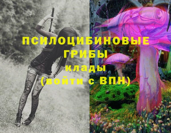 стафф Абинск